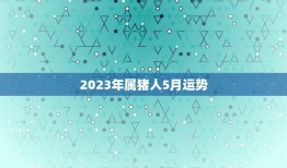 2023年属猪人5月运势(财运亨通事业顺利)