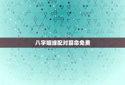 八字姻缘配对算命免费(介绍八字姻缘配对的)