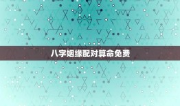 八字姻缘配对算命免费(介绍八字姻缘配对的)
