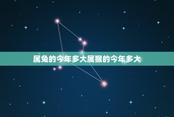 属兔的今年多大属猴的今年多大(十二生肖年龄计算方法)