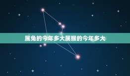 属兔的今年多大属猴的今年多大(十二生肖年龄计算方法)