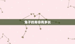 兔子的寿命有多长？(兔子寿命的相关知识)