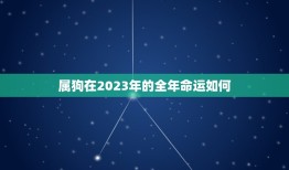 属狗在2023年的全年命运如何(预测喜事频频财运亨通)