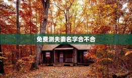 免费测夫妻名字合不合，夫妻姓名测试婚姻状况