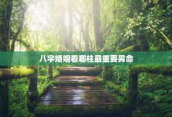 八字婚姻看哪柱最重要男命，八字中看婚姻的口诀