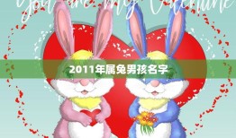 2011年属兔男孩名字(如何选择)