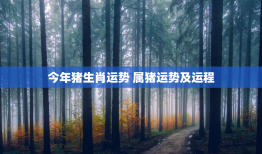 今年猪生肖运势 属猪运势及运程