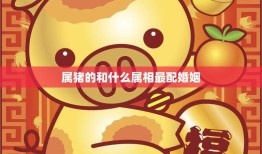 属猪的和什么属相最配婚姻(如何选择最佳配偶)