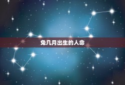 兔几月出生的人命？(讨论兔子生肖和出生时间的关系)