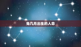 兔几月出生的人命？(讨论兔子生肖和出生时间的关系)