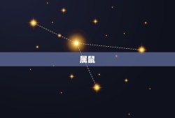 1983年猪婚配(介绍哪些属相最配与猪结婚)