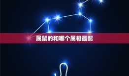 属鼠的和哪个属相最配(讨论相克猪的人)