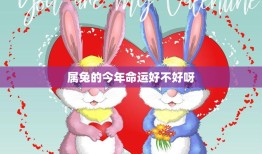 属兔的今年命运好不好呀(2023年属兔人的运势如何)