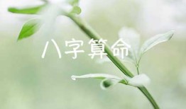 免费算命测运势，八字每日运势测算