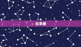 12星座的手链辛运名字(打造属于你的幸运护符)