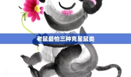 老鼠最怕三种克星鼠类(揭秘老鼠的天敌)