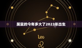 属鼠的今年多大了2023年出生(如何预测你的命运)