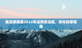 属虎摩羯座2023年运势及运程，虎年的摩羯座
