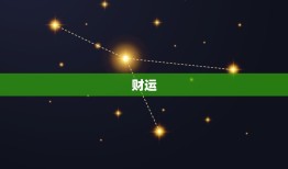 属虎今年的运势如何(2023年属虎人的财运、事业、感情运势大介绍)