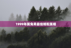 1999年属兔男最佳婚配属相，十兔九苦最命苦的兔几月出生