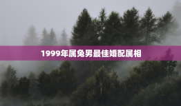 1999年属兔男最佳婚配属相，十兔九苦最命苦的兔几月出生