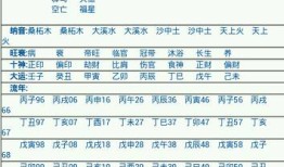 查询自己的生辰八字，怎么查自己的生辰八字