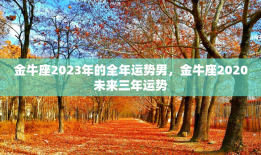 金牛座2023年的全年运势男，金牛座2020未来三年运势