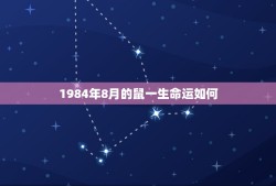 1984年8月的鼠一生命运如何(命运多舛却不放弃希望)
