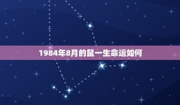 1984年8月的鼠一生命运如何(命运多舛却不放弃希望)