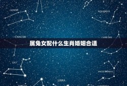 属兔女配什么生肖婚姻合适(十二生肖中的兔女配对)
