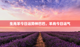 生肖羊今日运势神巴巴，羊肖今日运气