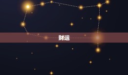 2023年属龙的运气(大好机会财运亨通)