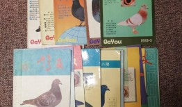 92年男与94年婚配，92年属猴男与94年属狗女能婚配吗？