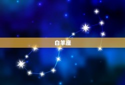 学霸十二星座名男生(介绍他们的成功方法是什么)