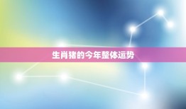 生肖猪的今年整体运势(顺风顺水财运亨通)