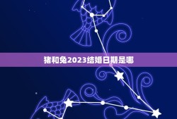 猪和兔2023结婚日期是哪(揭晓)