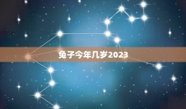 兔子今年几岁2023(兔子年龄计算方法)