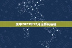 属牛2023年12月运势及运程(财运亨通事业顺利)
