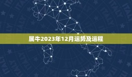 属牛2023年12月运势及运程(财运亨通事业顺利)