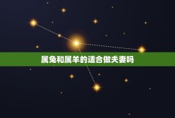 属兔和属羊的适合做夫妻吗(星座配对分析)