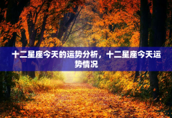 十二星座今天的运势分析，十二星座今天运势情况