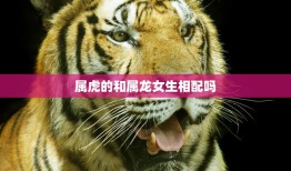 属虎的和属龙女生相配吗(解析相爱容易相处难)