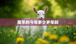 属羊的今年多少岁年龄(如何计算)