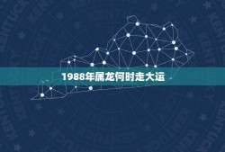 1988年属龙何时走大运(属龙人的运势分析)