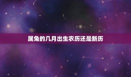 属兔的几月出生农历还是新历(哪个更有利)