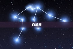 十二星座最强的学霸是谁(介绍星座学霸排行榜)