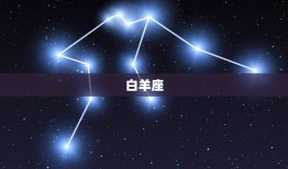 十二星座最强的学霸是谁(介绍星座学霸排行榜)