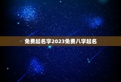 免费起名字2023免费八字起名(为您的宝宝起一个好名字)