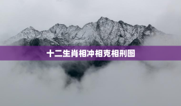 十二生肖相冲相克相刑图，十二生肖相冲相克相刑图片