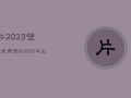 片2023壁纸免费，壁纸2021